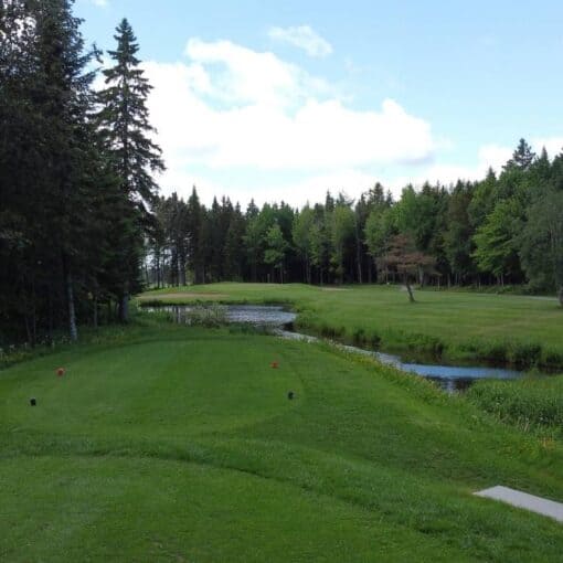 Club de golf Lac-Etchemin - 2 joueurs avec voiturette (Valide en tout temps saison 2026) – Image 7