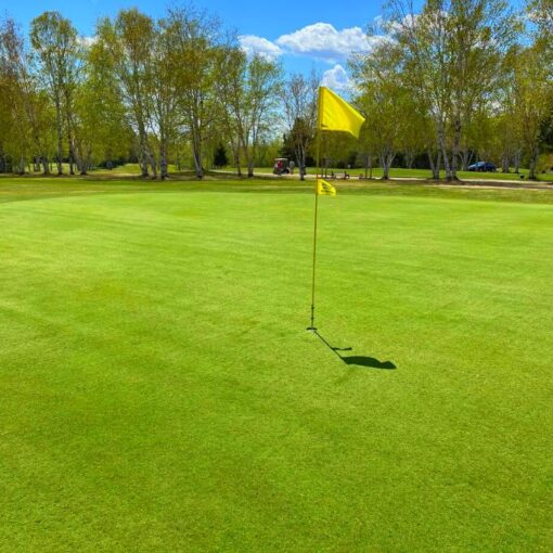 Club de golf Mont Ste-Anne (Saint-Ferréol) - 18 trous en voiturette - lundi au jeudi après 12h00 – Image 3