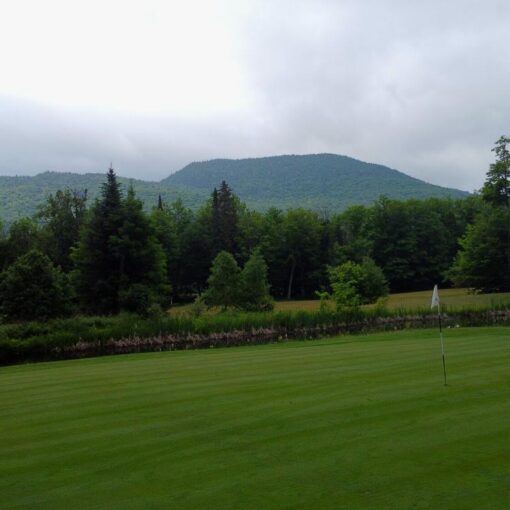 Club de golf St-Donat - 1 joueur en voiturette (lundi au jeudi avant 8h00 et après 12h00 - saison 2025) – Image 2