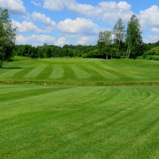 Golf les Patriotes - 2 joueurs avec voiturette et souper (Vendredi et samedi saison 2026)