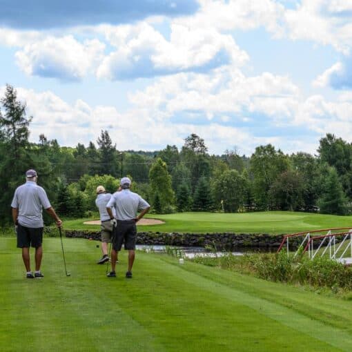 Club de golf Lac-Etchemin - 2 joueurs avec voiturette (Valide en tout temps saison 2026) – Image 5