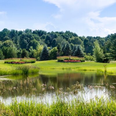 Golf Griffon des Sources - 18 trous à voiturette - Valide pour la saison 2026