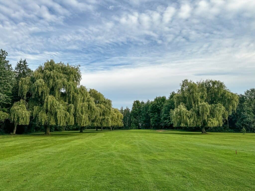 Club de golf Mont Saint-Grégoire - 2 joueurs 18 trous voiturette (Utilisable lundi au jeudi après 14h00 saison 2026)